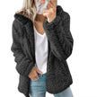 Cozy Winter Plush Hooded Coat for Women - Stylish Zippered Fleece Jacket with Long Sleeves for Autumn/Winter 2025